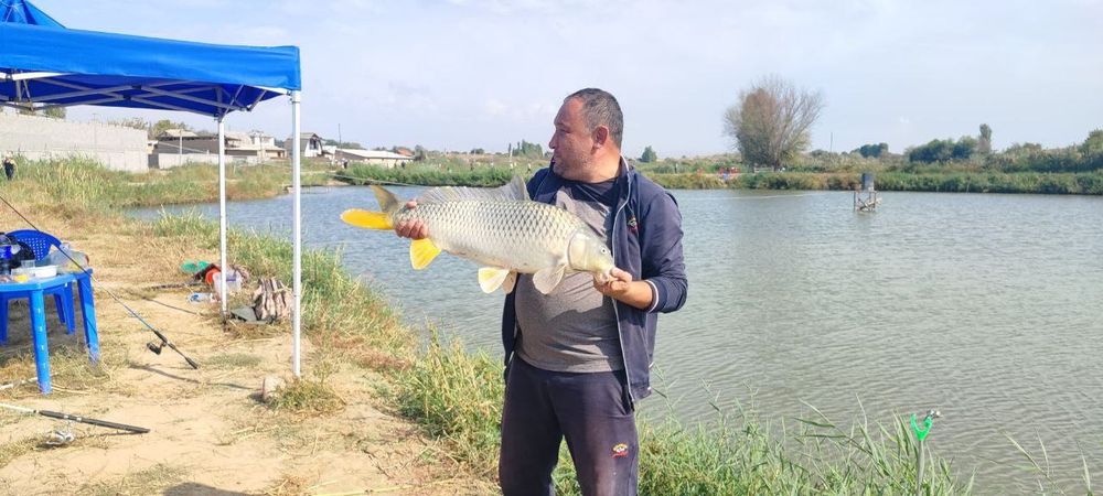 Рыбалка, сазан, топчан, очаг, мангал.