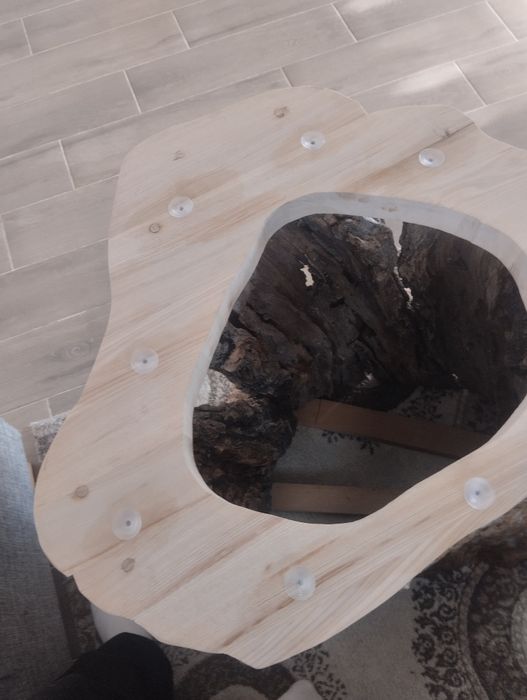 Masă din trunchi de măr