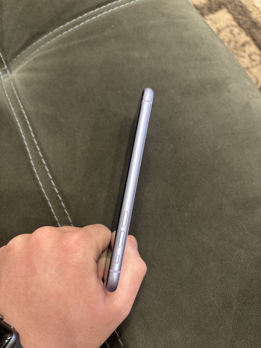 Аифон 11 в живом состоянии