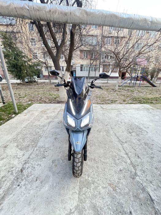 Sukutr Samuray Yangi