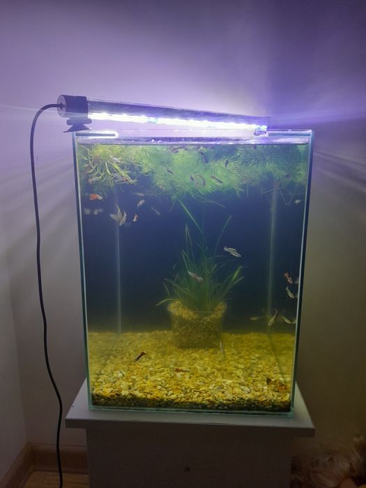Продам аквариум кубик