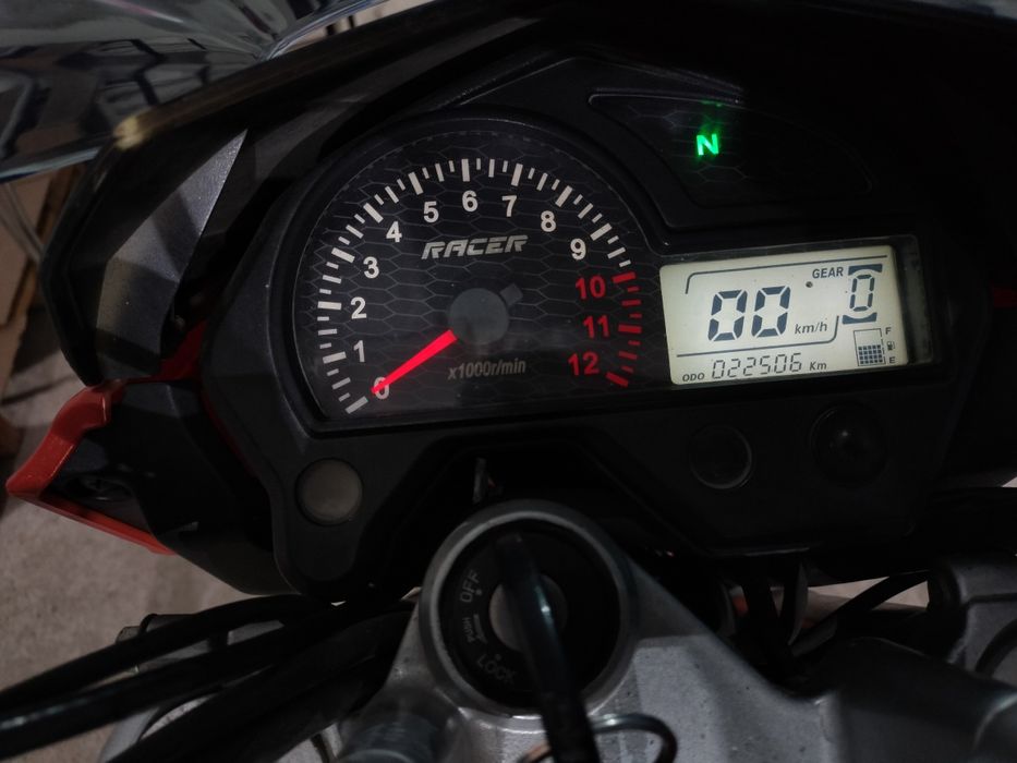 Рейсер Файтер 250 куб