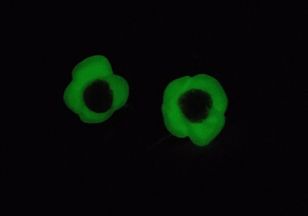 Обеци "Ягодки" от полимерна глина