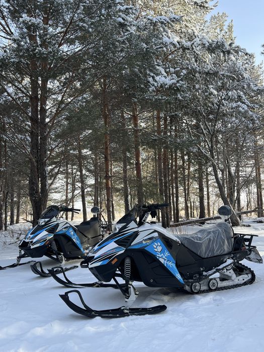 Снегоход барыс 250