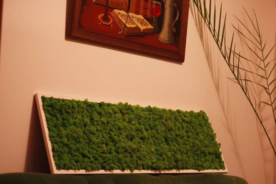 Tablou cu licheni si muschi stabilizati