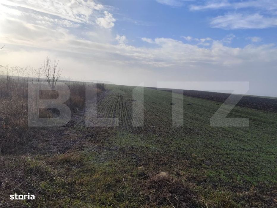 Teren 15000 mp extravilan, Miroslava-Vorovesti, langa zona de case