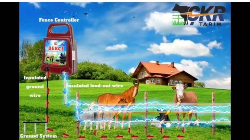 Электропастух для коров