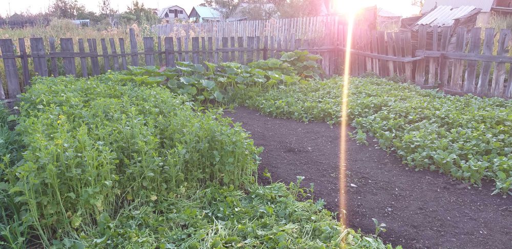 Дача федоровка с э/э