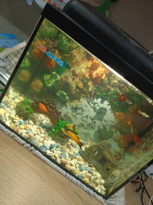 Продам аквариум с рыбками