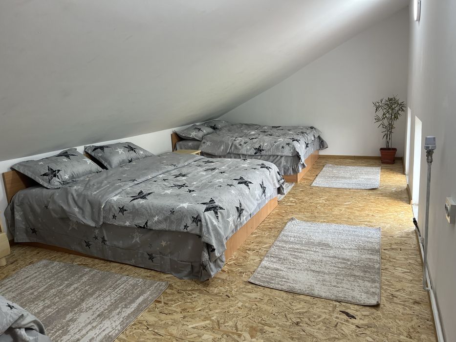 Inchiriez cabana (vila) lacul Surduc (Fardea) jud Timis