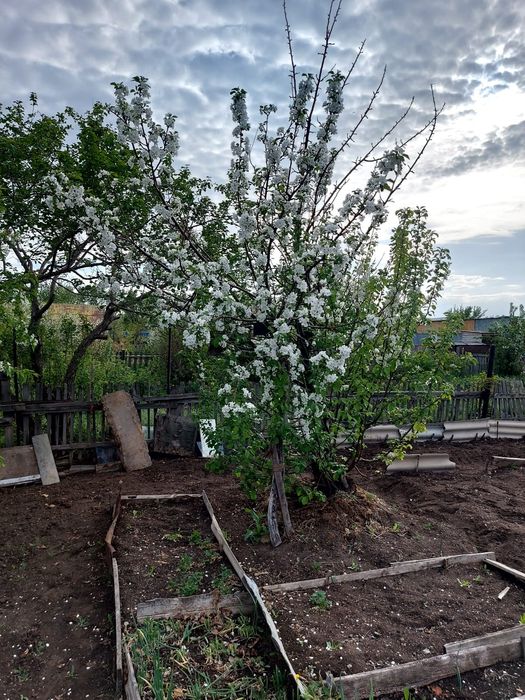 Продам дачу по красноярской трассе