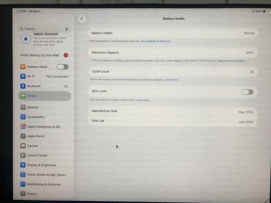 Apple iPad Pro 2024 1TB 100% Battery + Apple Pencil Pro
