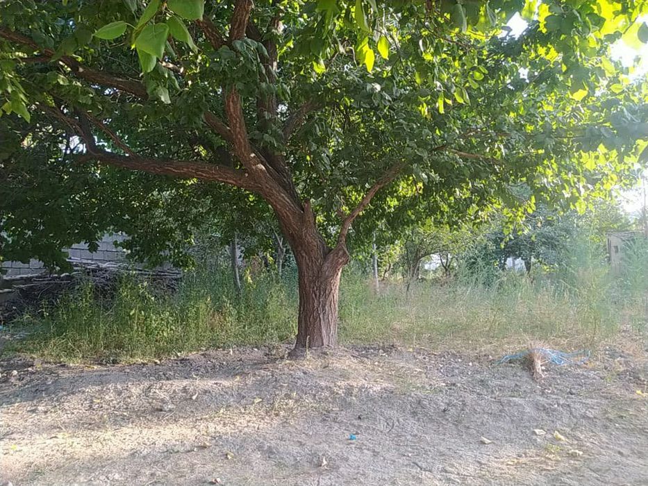 Ховли уй сотилади