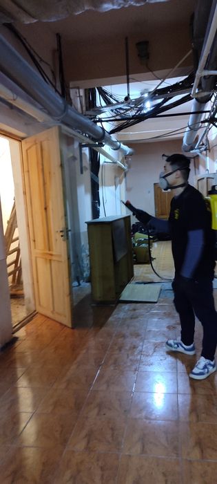 Дезинсекция от насекомых Dezinfeksiya xizmati kelishilgan naraxlarda