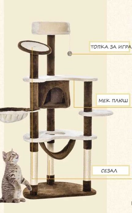 Котешка катерушка с широка основа