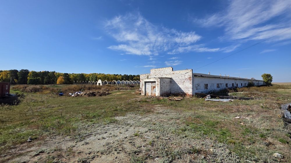 Продам животводческий комплекс