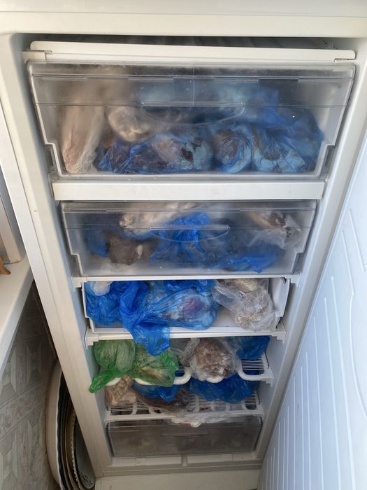 Холодильник-морозильник Atlant