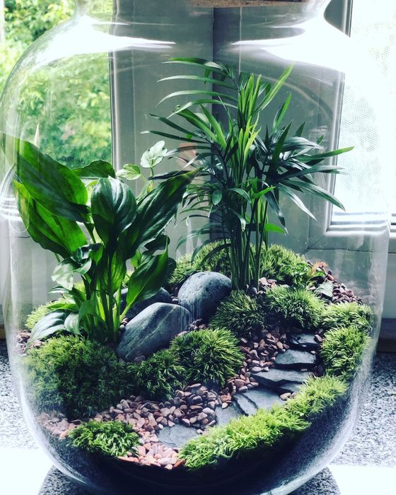Флорариум|florarium