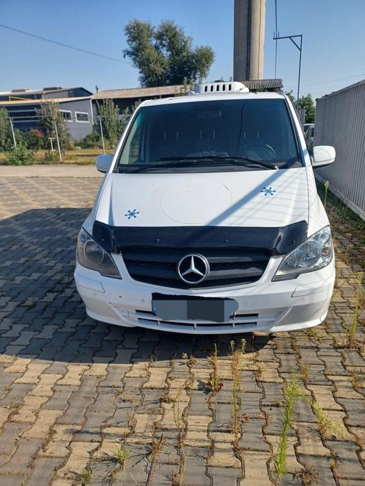 Mercedes cito frigorific functional