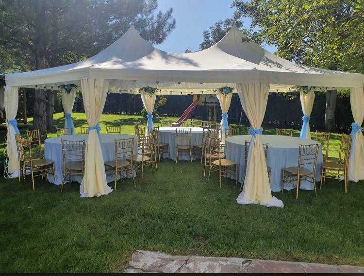 Стулья В Аренду