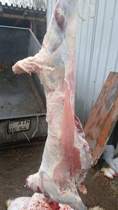 Баранина продается