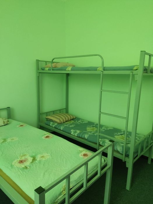 Faqat qizlaga kvartira