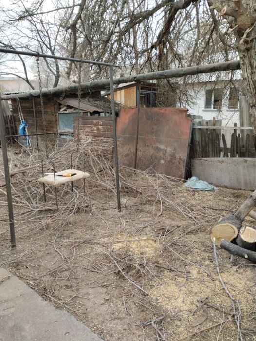 Дрова самовывоз конаев