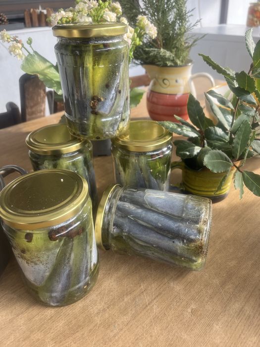 Продавам Паламуд 20лв и сафрид 15лв