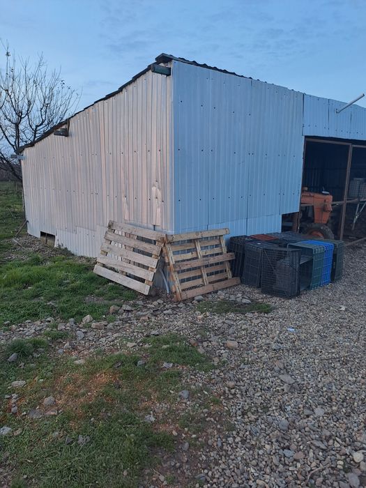 Livada cu pomi fructiferi