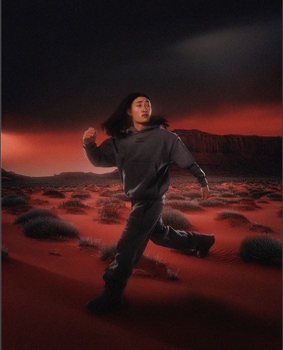 Hoodie Alexander Spade