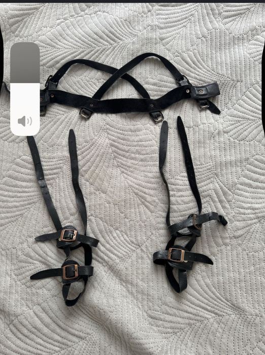 Стремена Павлика