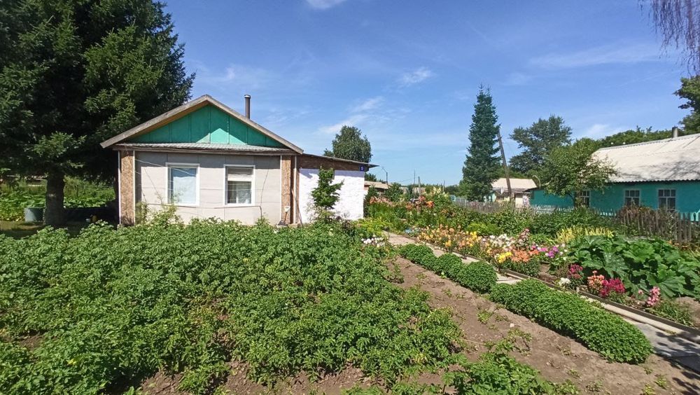 Продам дом в селе Березовка