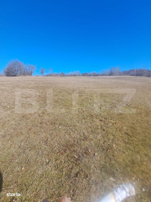 Teren intravilan, perfect pentru casa de vacanta, 5000 mp, Almasu Mare
