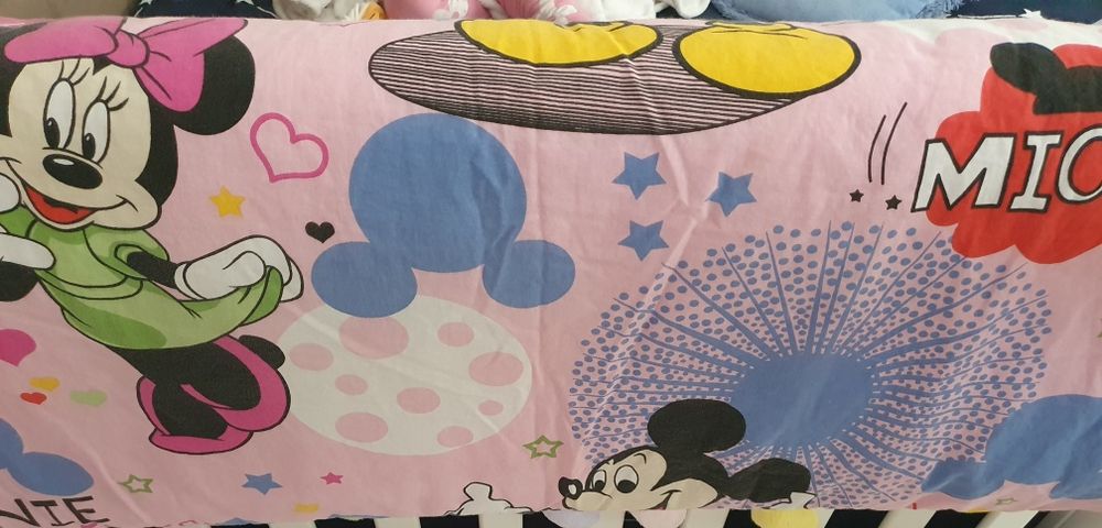 Aparatori patut minnie si Mickey