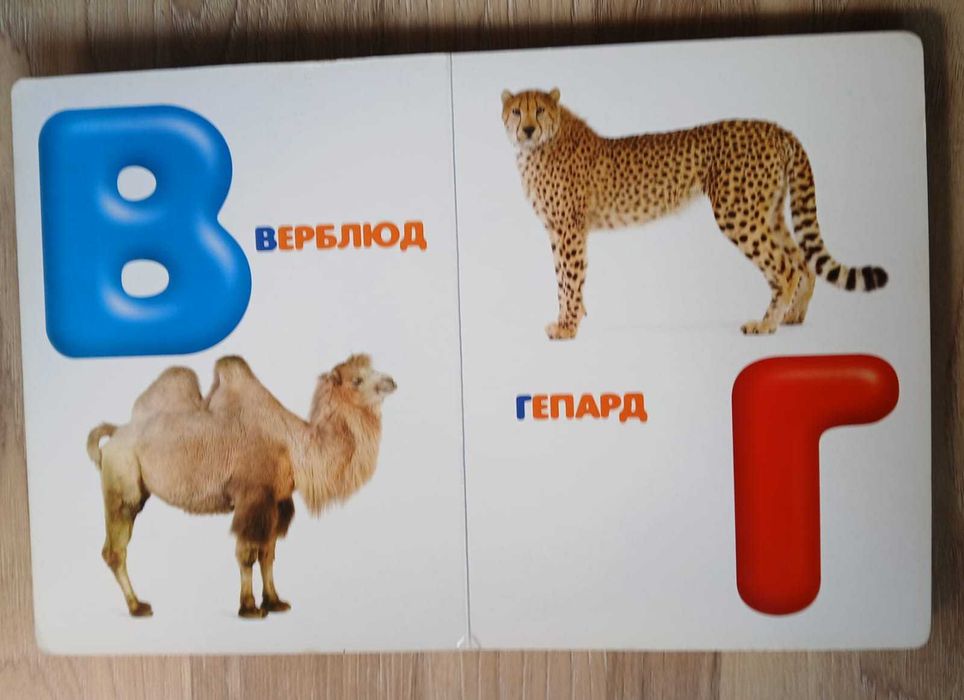 Книга с алфавитом