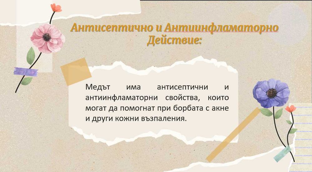 Изработка на професионални презентации (PowerPoint / Google Slides)