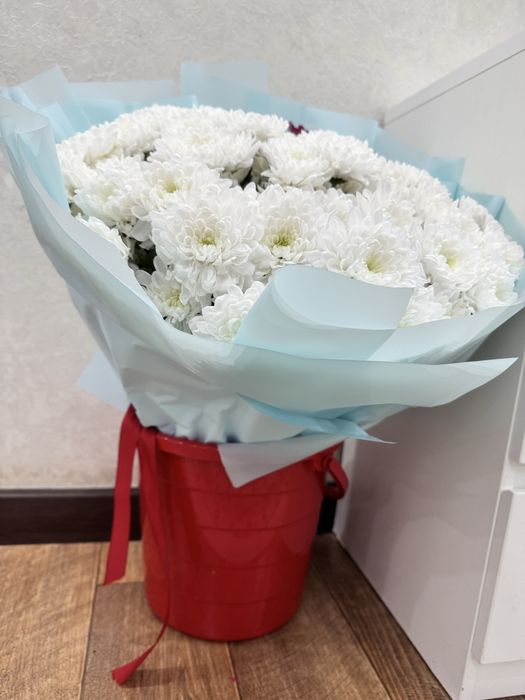 Метровый свежи гул