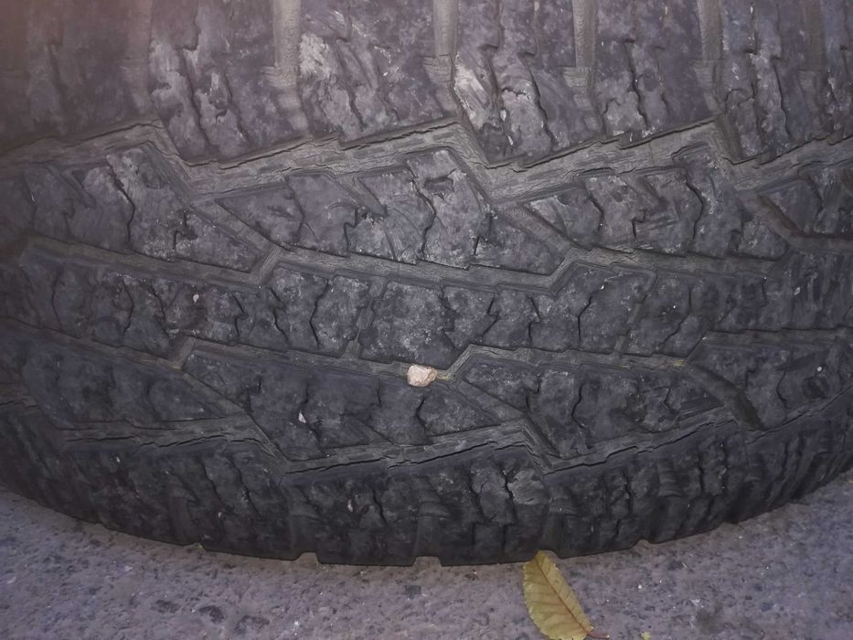 Шины Nokian Rotiiva