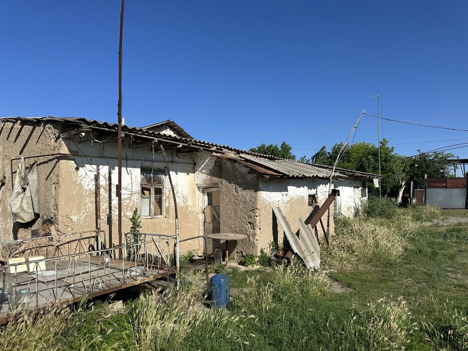 Ferma sotladi maniz Tolabi oq tomda