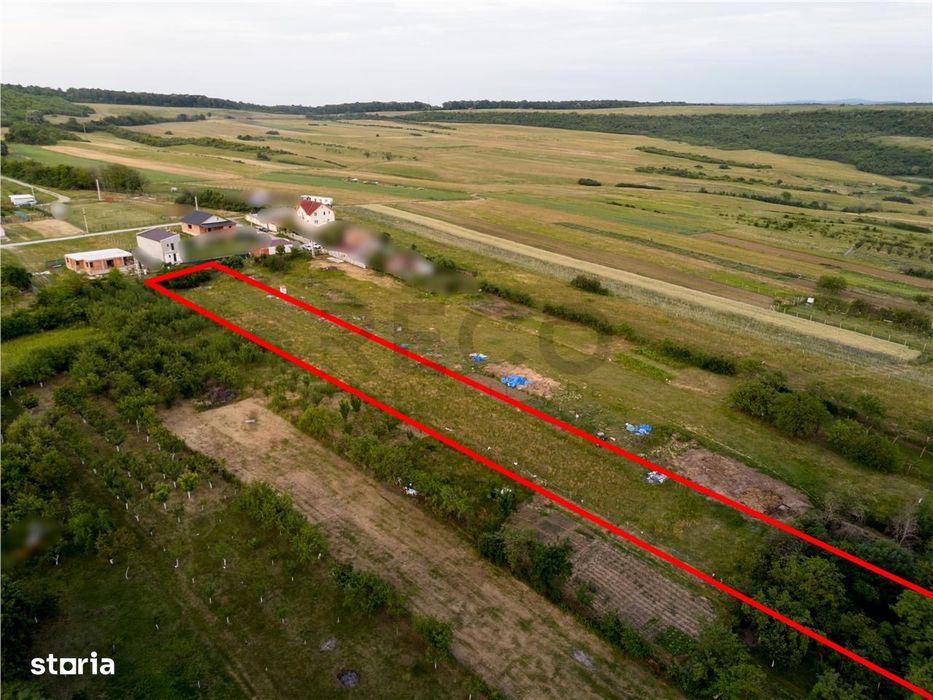 RECO Teren intravilan de vanzare Betfia, Bihor - 3000 mp, front strada
