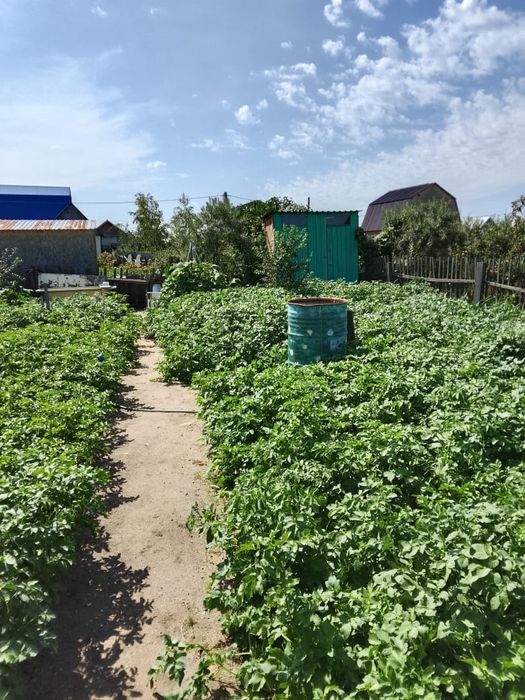 Продам дачу 3 сотки
