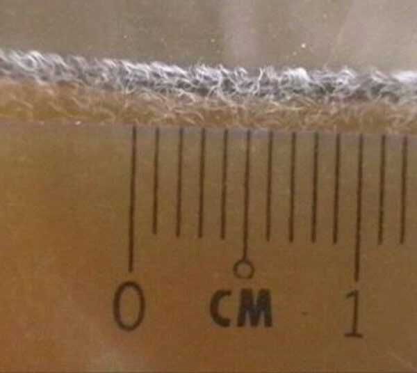 Култури с жива храна (Daphnia Moina, бели червеи и оцетни змиорки).