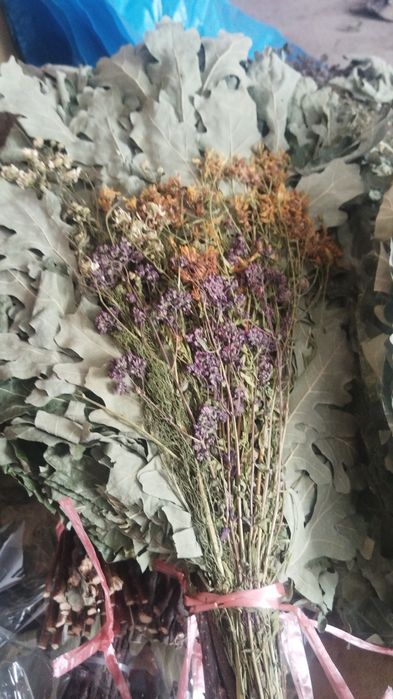 Веники и лечебные травы