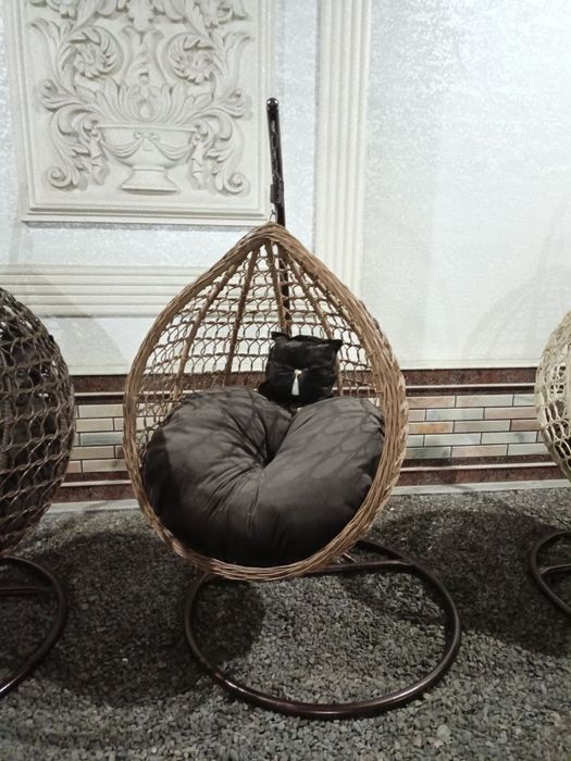 Ratan kachela olami eng arzonarxlar