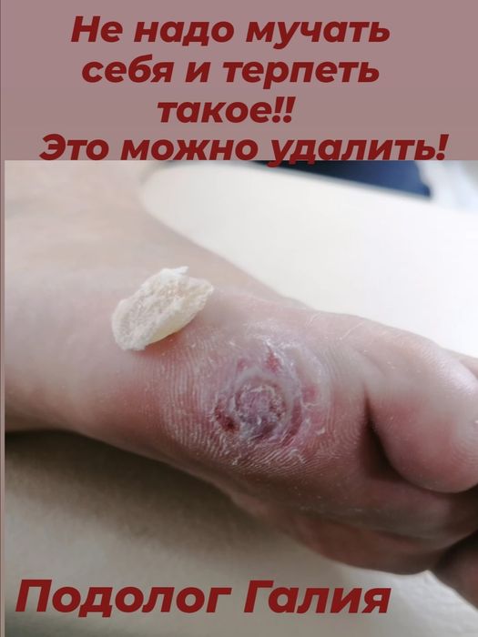 Приглашаем всех!