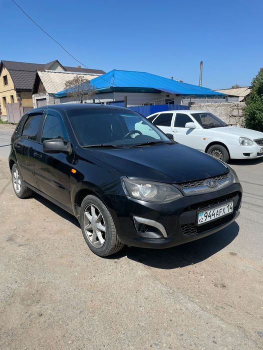 Продам верного пони