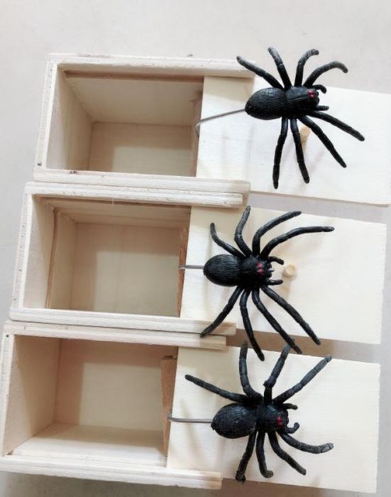 Паук выпрыгивающий из коробки. Прикол