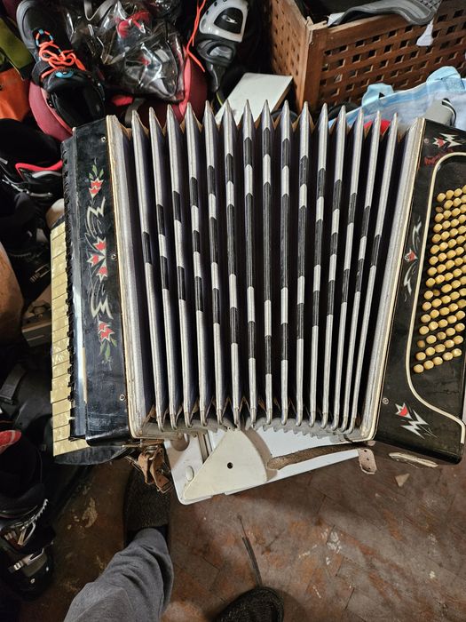 Acordeon / acordeoane diverse marci si marimi