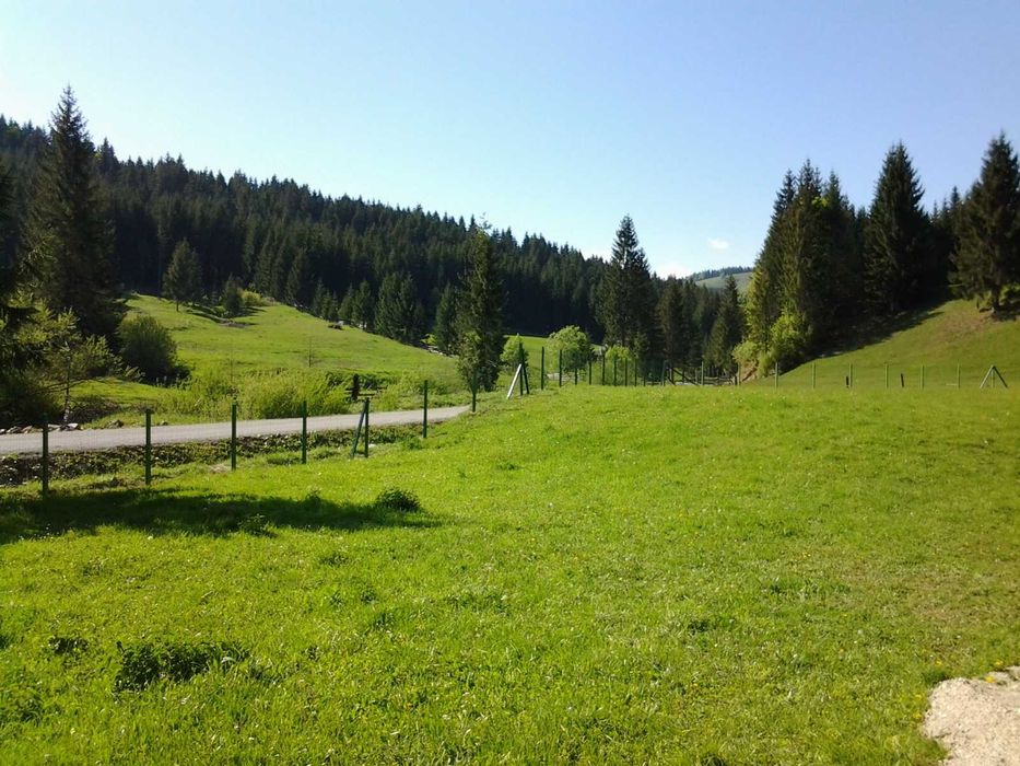 Vând  12.500 mp teren extravilan Lunca Ilvei Bistrita Nasaud