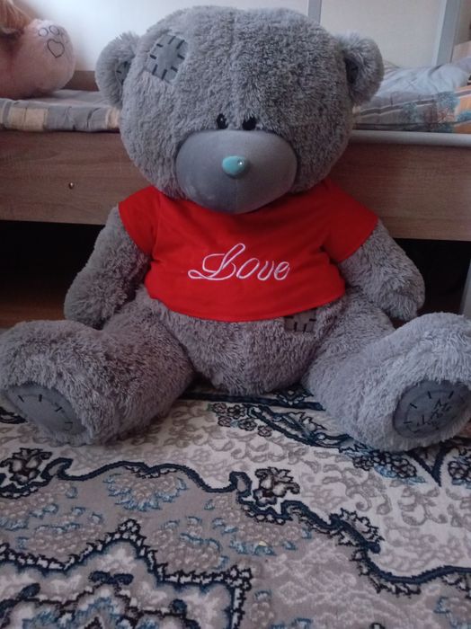 Teddy yumshoq ayig'i